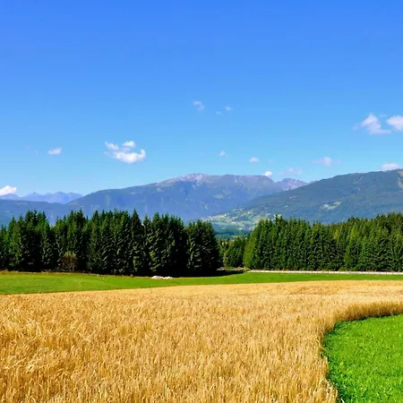 Biohof Poinsitgut * Mariapfarr