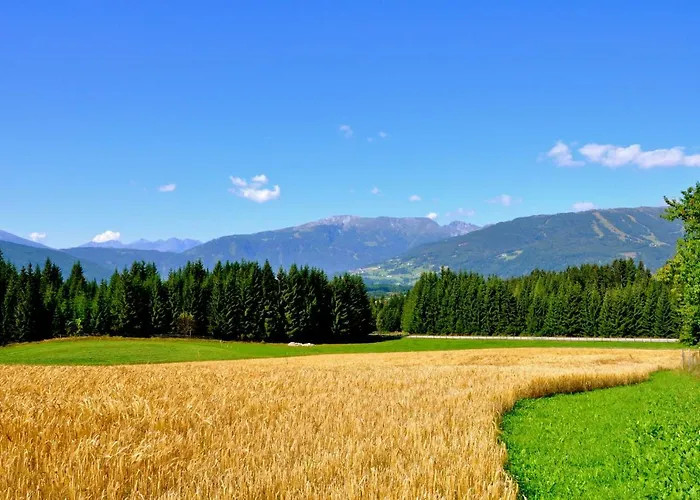 Biohof Poinsitgut * Mariapfarr